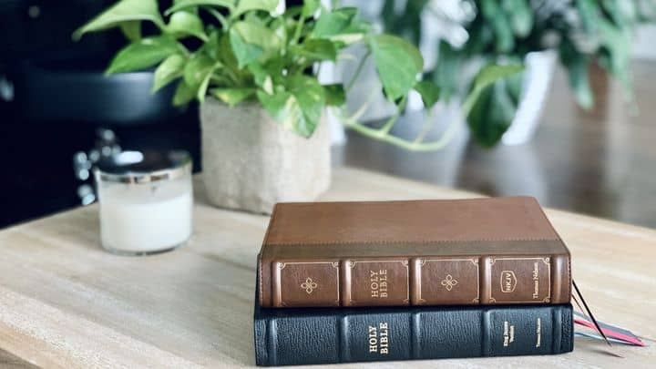 Two Holy Bibles, one brown and one black, are stacked on a wooden table next to a potted plant and a white candle.