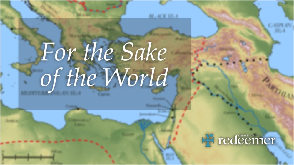 For the Sake of the World
