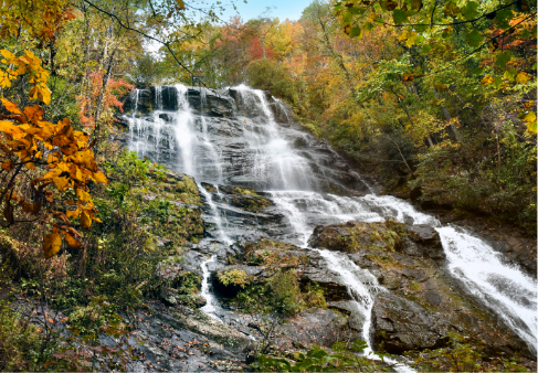 Flowing waterfall with fall leaves